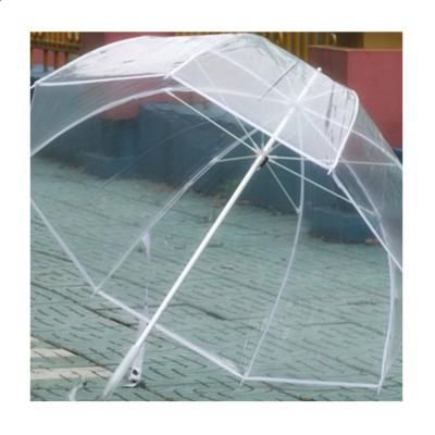 China PVC Waterproof Umbrella The Most Valuable Umbrellas Transparent Wedding Decorations Paper Umbrella for sale