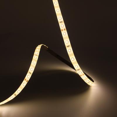 China Residential factory direct sales waterproof ip65 SMD 2835 24v led flexible strip light for swimming pool for sale