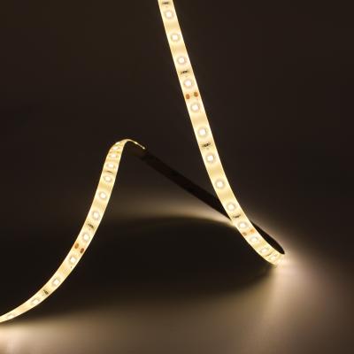 China Residential factory direct sales waterproof ip65 24v led flexible strip light for swimming pool for sale