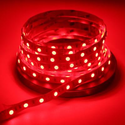 China New Hotel Style RGBW S Shaped Remote Control Nonwaterproof 5m Strip Led Strip Light 5050 RGB With Best Service for sale