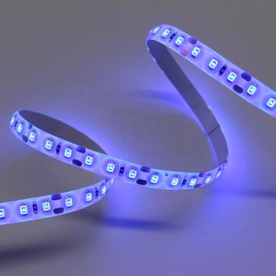 China Residential Waterproof IP65 SMD 2835 Silicone Dropping 12 Blue Color 24v Sales Led Flexible Strip Light For Atmosphere Strips Lighting for sale