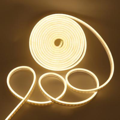 China 2022 China Manufacturer Silicone Neon Tube Color Changing PCB Width 10mm Supermarket Outdoor Cloakroom Led Strip Strip Light for sale