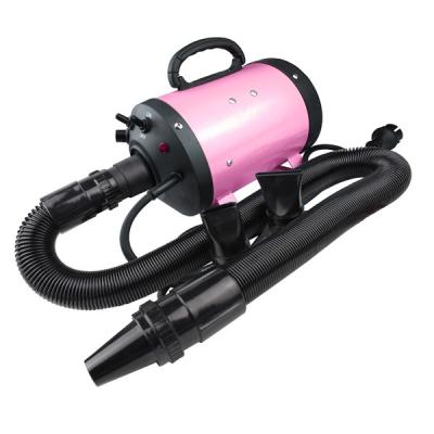 China Chunzhou Sustainable Pet Water Blower Manufacturer Strong Pet Grooming Dryer Blaster CS-2400 for sale