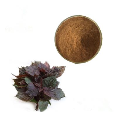 China Health Food Chinese Traditional Herbal Perilla Frutescens Extract Powder/  Perilla Leaf Extract / Folium Perillae Extract for sale