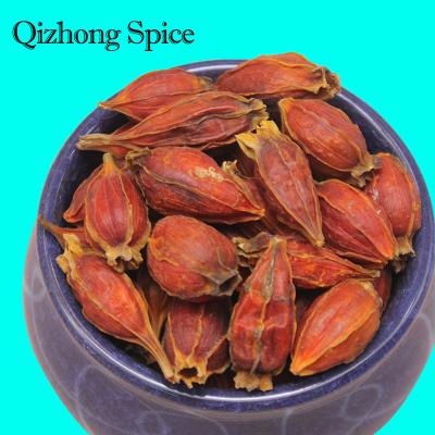 China Rectum Qizhong Spice Dried Gardenia Seeds / Dried Gardenia Fruits  Cape Jasmine Favorable Price for sale