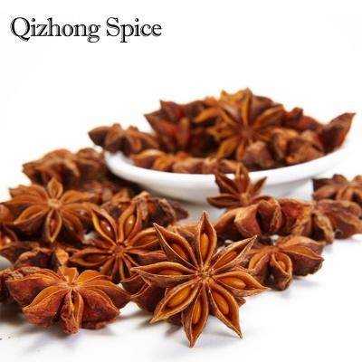 China Fragrant Smell Qizhong Spice China Guangxi Fennel Octagonal SPices Star Anise Seeds Whole Anise Star Anise for sale