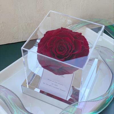 China Real Rose Valentine Gifts Preserved Flowers Forever Romantic Preserved Rose Eternal Flowers and Plants Preserved Roses for sale