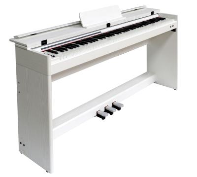 China Professional Digital Studio 88 Key Keyboards Musical Instrument 88 Upright Piano for sale