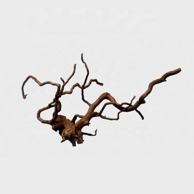 China High Quality Aquarium Driftwood Natural Root Viable Horn Wood EQ80002-2 for sale