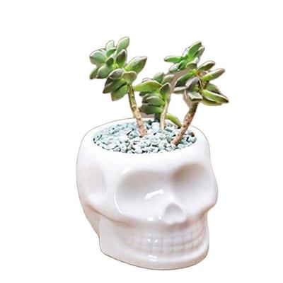 China Modern Ceramic Succulent Planter Pot Home Decor Skull Shape White for sale