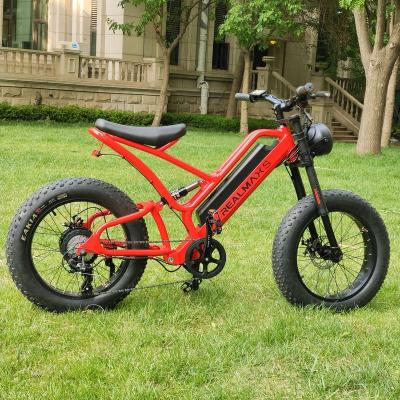 China Hot Sale 750W Aluminum Alloy REALMAXS MA-20 2023 Fat Hub Motor 20Inch Tire Powered Foldable Electric Bike With Low Price for sale