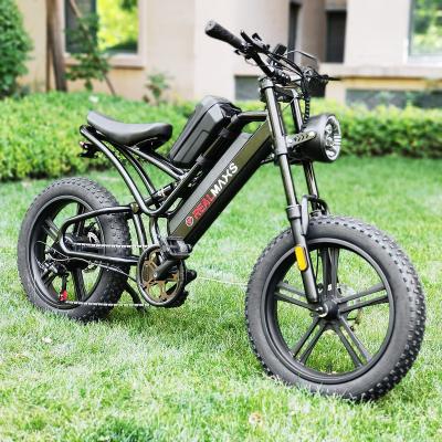 China New design 750W 1000W aluminum alloy REALMAXS MA-20 hub motor disc brake OEM ODM electric bike 2023 wholesale with great price for sale