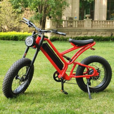 China Newest 1000W 20Ah Big Power Aluminum Alloy REALMAXS MA-20 Fat Tire Mountain Fat Tire Suron Electric Bike for Men and Women for sale