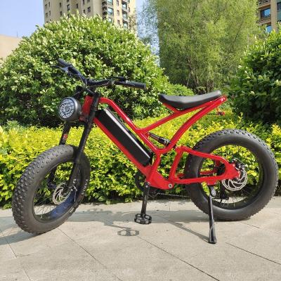 China Factory Price Aluminum Alloy REALMAXS MA-20 750W 1000W 7 Hub Motor Speed ​​Powerful E Bikes For Adults Electric Bike With China Manufacturer for sale