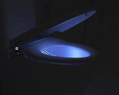 China Slow-end Toilet Seats HaoEhhl OEM/ODM Non-Electric Toilet Bidet Seat Spout Non-Electric Cold Water Bidet With Light for sale