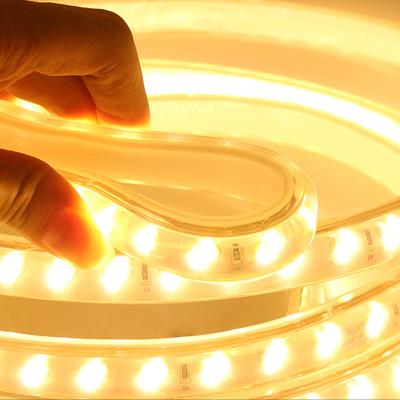 China LANDSCAPE AC 85v-265v 5050smd 2835smd 120led/m led strip light with AC plug for sale