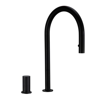 China Pull Down Spray Kitchen Faucet Alba Matt Black Brass Material Kitchen Sink Faucet Pull Out Spray Black Kitchen Sink Faucet for sale