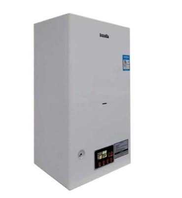 China Waterproof Function Balance Exhaust Type Natural Wall Mounted Combi Gas Boiler Metal for sale