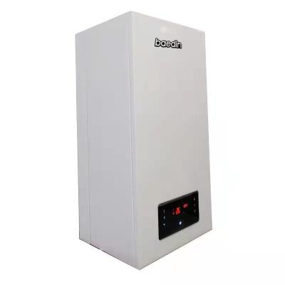 China Powerful Gas Water Heater Tankless Hot Water Boiler for Ce Wall Hung Gas Boiler Household for sale