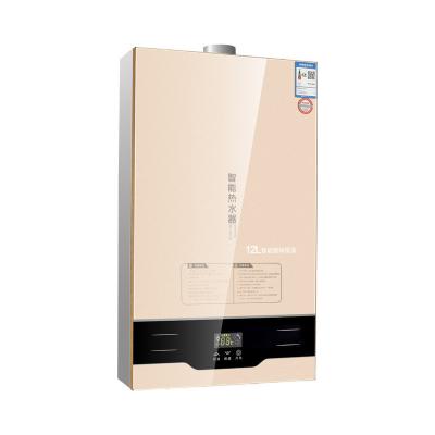 China 220V 36W Open Flue Gas Water Heater for Instant Hot Water in Home Appliance Force for sale