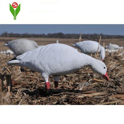 China The lake snow goose plastic inflatable used decoys for sale for sale