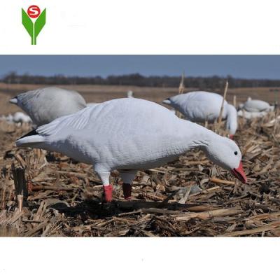 China China Wholesale Plastic Lake Snow Goose Decoys For Outdoor Hunting for sale