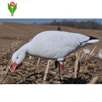 China The plastic lake snow goose decoys for hunting for sale