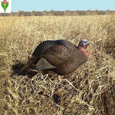 China Hunting Turkey Floatable Plastic Outdoor Decoy for sale