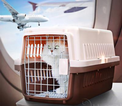 China Airline Sustainable Outdoor Travel Folding Portable Small Dog Cages for sale