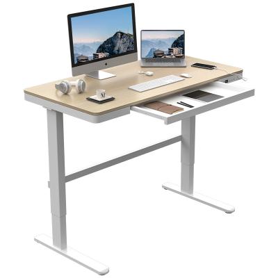 China Ergonomic Wooden Electric Height Adjustable Standing Desk (Height) Standing Desk With Charging Ports for sale