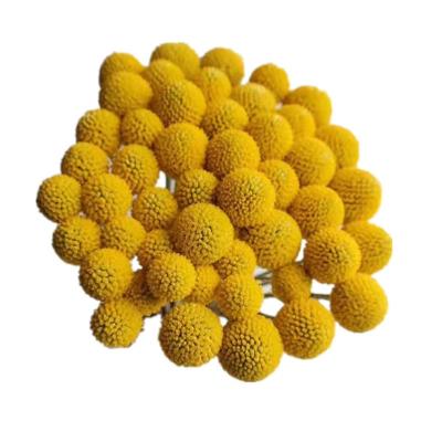 China Home/office/yellow color DIY dry flower gold bouquet high quality wedding ball/billy ball party decoration for wedding for sale