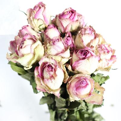 China Home/office/wedding flower natural dry rose bouquet/factory wholesale dry rose flower party decoration for party wedding home decoration for sale