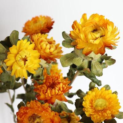 China Home/Office/Dry Flower Wedding Bouquet/Flower Party Decoration Pineapple Natural Dry Chrysanthemum For Home Wedding Decoration for sale