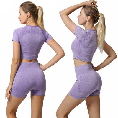 China Breathable Women Seamless Yoga Set Fitness Short Sleeve Crop Top Shirts Running Shorts Workout Clothes Women Gym 2 Piece Set for sale