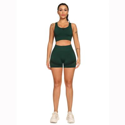 China 2021Custom Logo Female Ladies Womens Seamless Activewear Sustainable Sports Fitness Clothes Gym Wear Yoga Set Sportswear For Women for sale