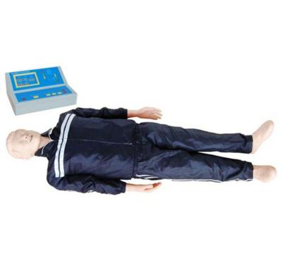 China Style 200 Nasal Base Model (Medical Science Subject Simulator Series Full Body CPR Manikin Male/Female) for Teaching for sale