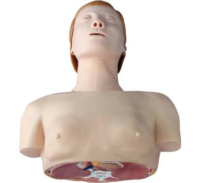 China Simulator Nasal Series Subject Medical Science CPR Training Model Basic Model (Half Body) for Teaching for sale