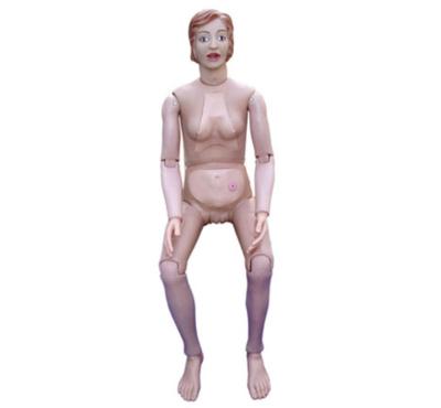 China High Quality Nurse Exercising Doll Medical Science Subject Simulator Series Training Doll (Female) for Teaching for sale