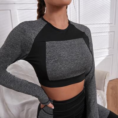 China Fashion Breathable Crop Design Long Sleeve Women's Sports Top Sweater Tops Simple Sweatshirt Tracksuit Style Jogging Shirt for sale