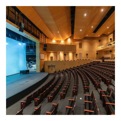 China Wilton Washable Modern Commercial Thick Carpet Cinema Style Movie Theater Soundproof Carpet for sale