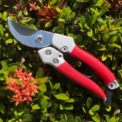 China Pruner Handle Anti-Slip Bypass Professional Garden Tool Getting Started Shears For Gardening Use for sale