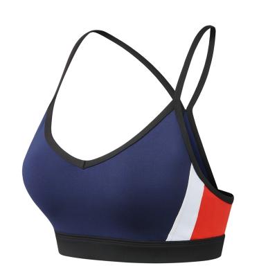 China Breathable Customize Logo Women Interlock Workout Gym Wear Clothes Padded High Support Fitness Yoga Sports Bra For Ladies for sale