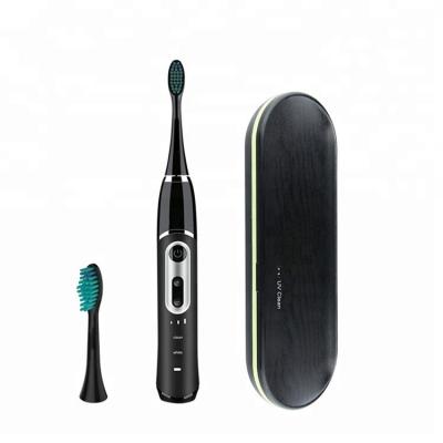 China Battery Operated Rechargeable Toothbrush Home Use Waterproof Electric Toothbrush for sale