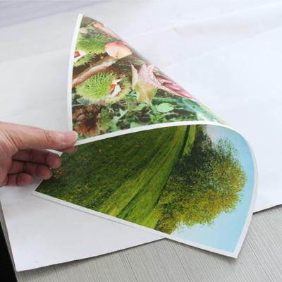 China A3 Waterproof Glossy RC Photo Paper Inkjet Printing Film OEM à venda