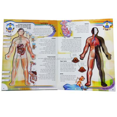 China paper & Cardboard Educational Activity Board Book Human Body Book for Kids Study for sale