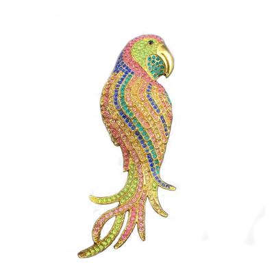 China Large Single Crystal Multicolor Parrot Brooch Rhinestone Bird Pin for sale