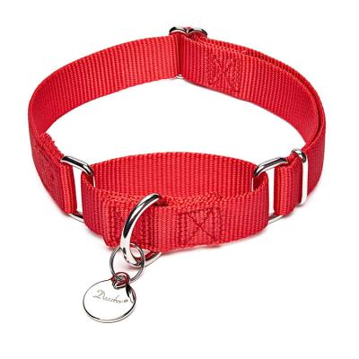 China Designer Personalized Dog Collar Martingale Premium Dog Collar With ID Tags for sale