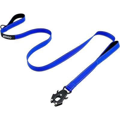 China Personalized Heavy Duty Dog Leash Custom Reflective Nylon Dog Leash With Comfortable Grip And Frog Clip for sale