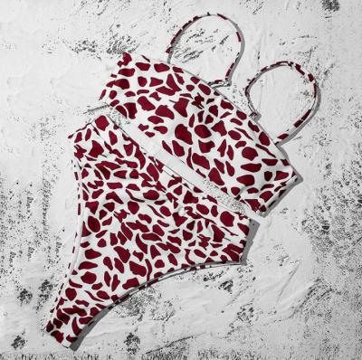 China Bikini Plus Size Polka Dot Bikini Swimwear Swimsuit Beach Wear Beach Wear Yoga Bikini Factory Tank Top for sale