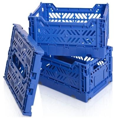 China Professional Durable Fruit Plastic Crate Injection Box Mold Vegetable Mold PE Cavity High Gloss Mold Factory for sale